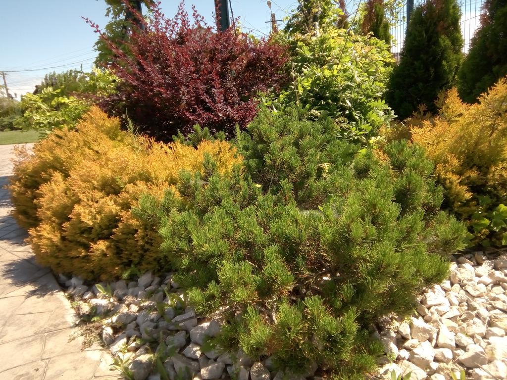 Hanul Cocosul Vitanesti Exterior foto
